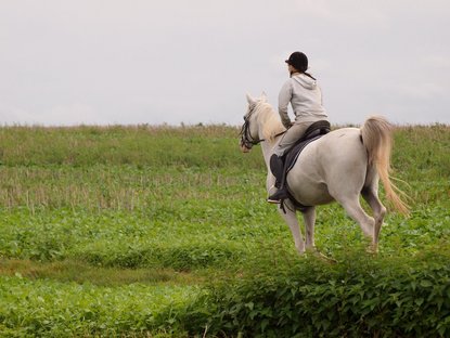 Person reitet auf einem Pferd