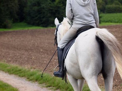 Person auf einem Pferd